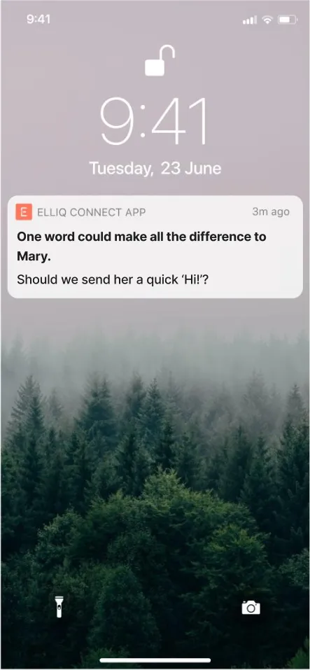 ElliQ Connect push notification reframed warmly: 'One word could make all the difference to Mary. Should we send her a quick Hi!?'